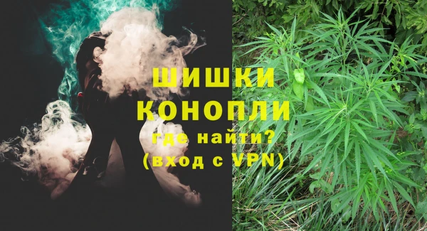 PSILOCYBIN Дмитров